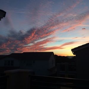 Meet your Posher, Sophia